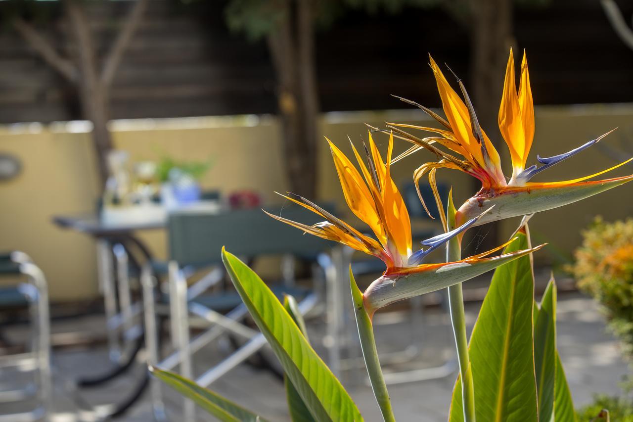 Ayia Napa Tropical Beach Villa Εξωτερικό φωτογραφία